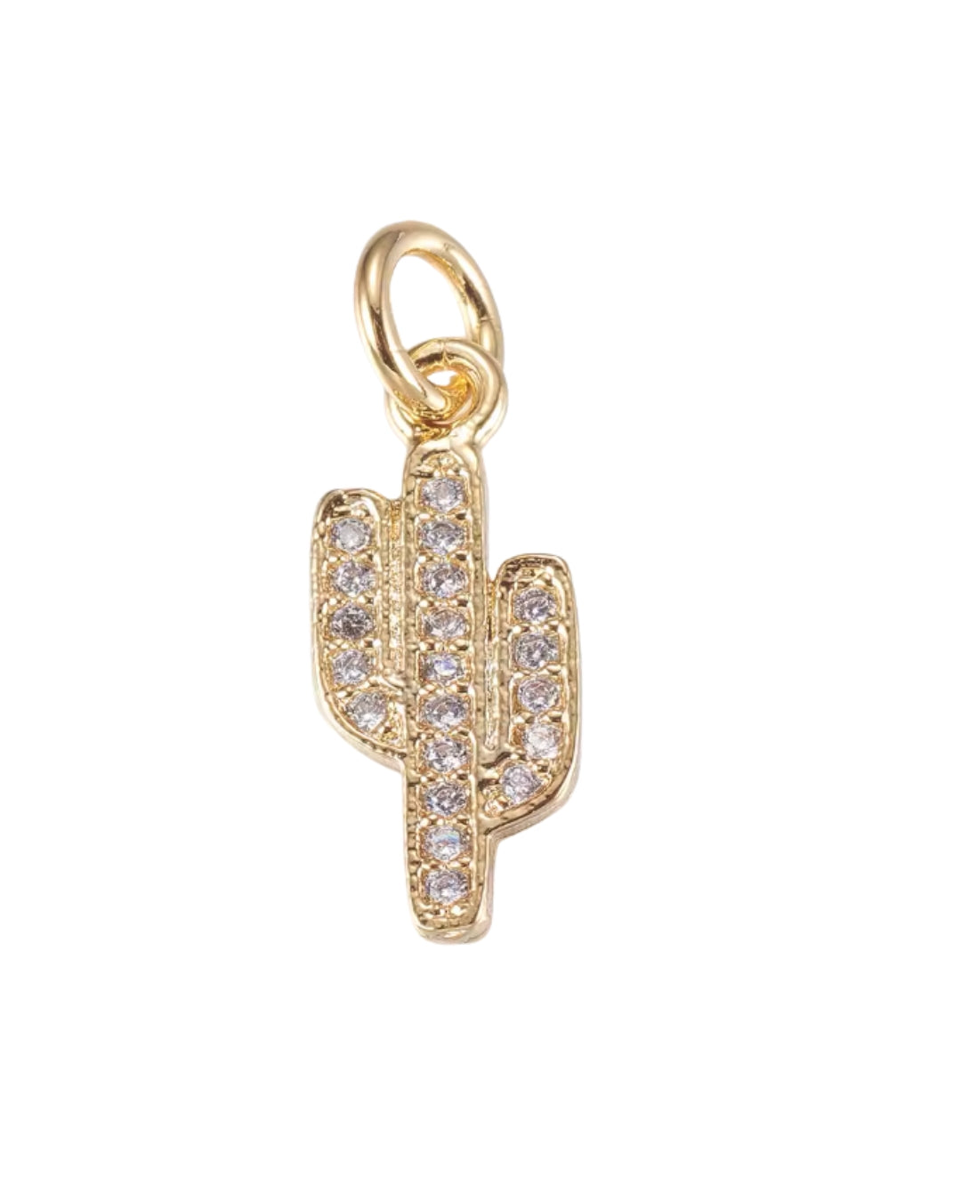 Diamante Cactus Charm
