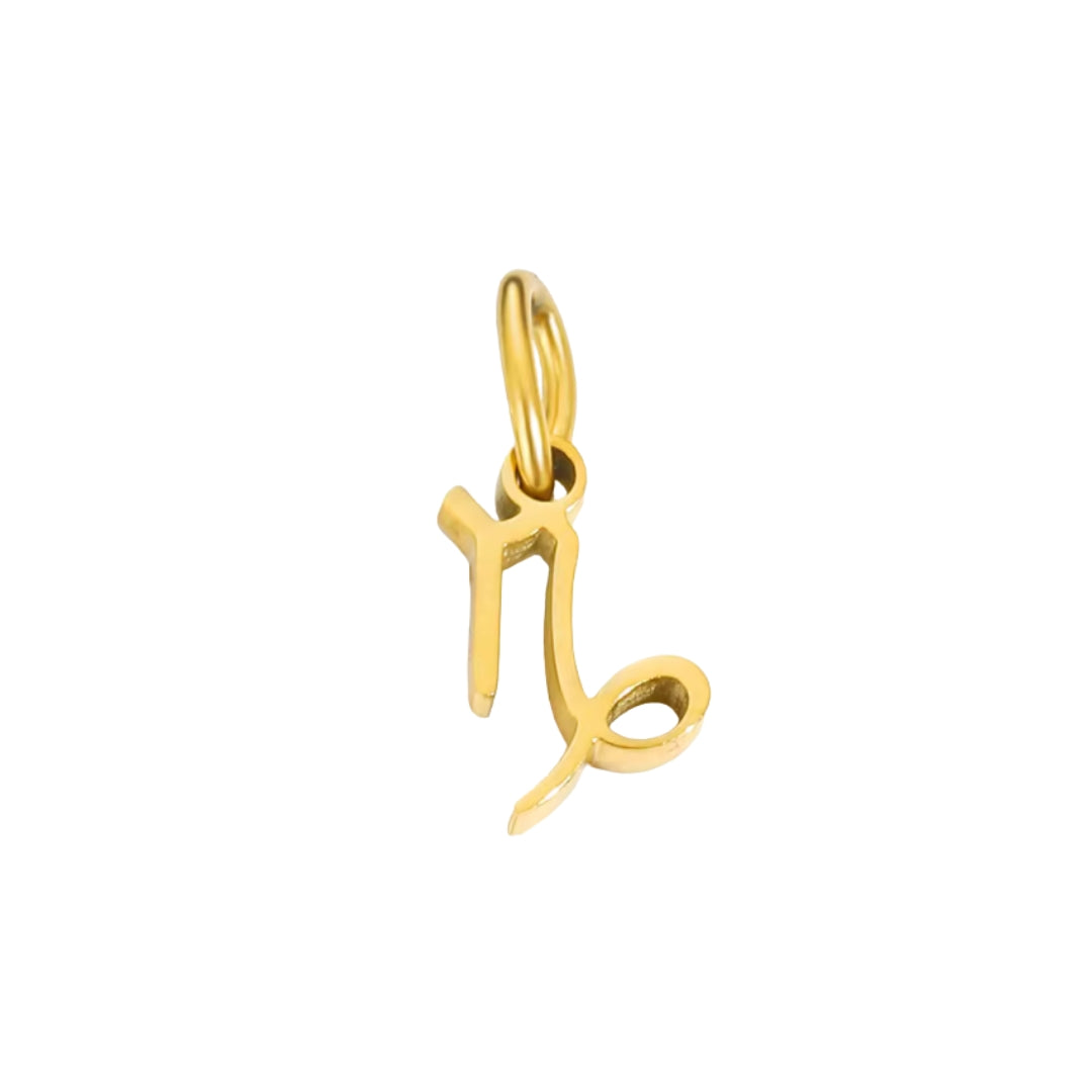 Zodiac Sign Charms - Make A Charm Bracelet or Necklace