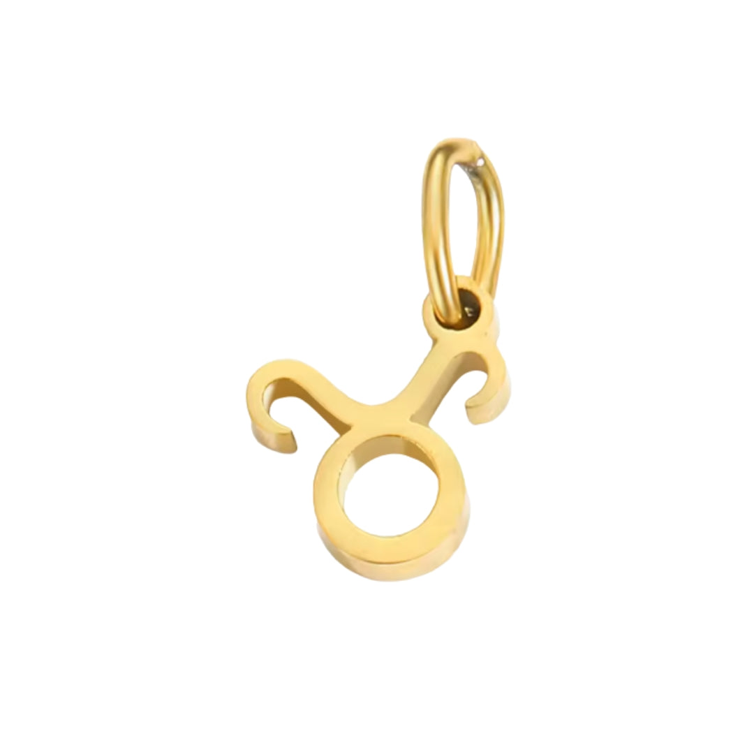 Zodiac Sign Charms - Make A Charm Bracelet or Necklace