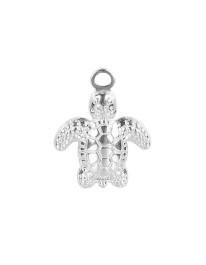 Baby Turtle Charm Sliver