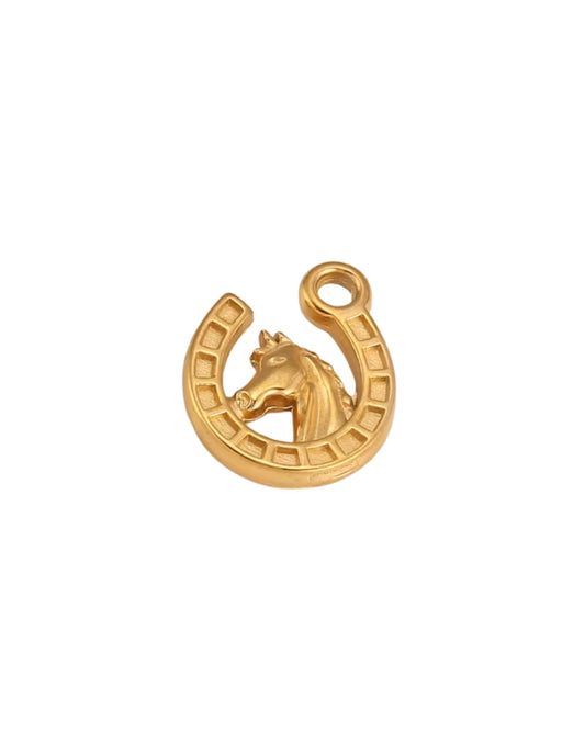 Horse Shoe Charm
