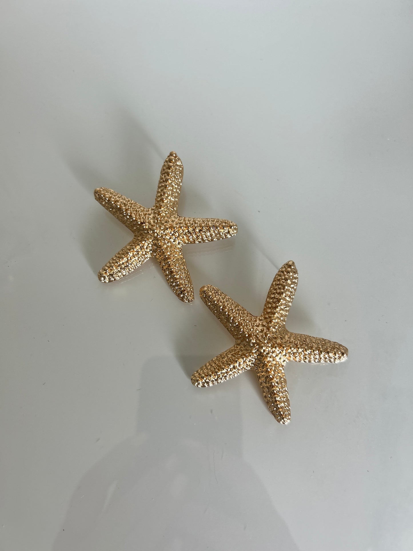 Starfish | Earrings