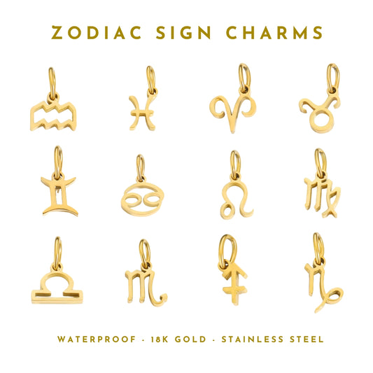 Zodiac Sign Charms | Charm Bar