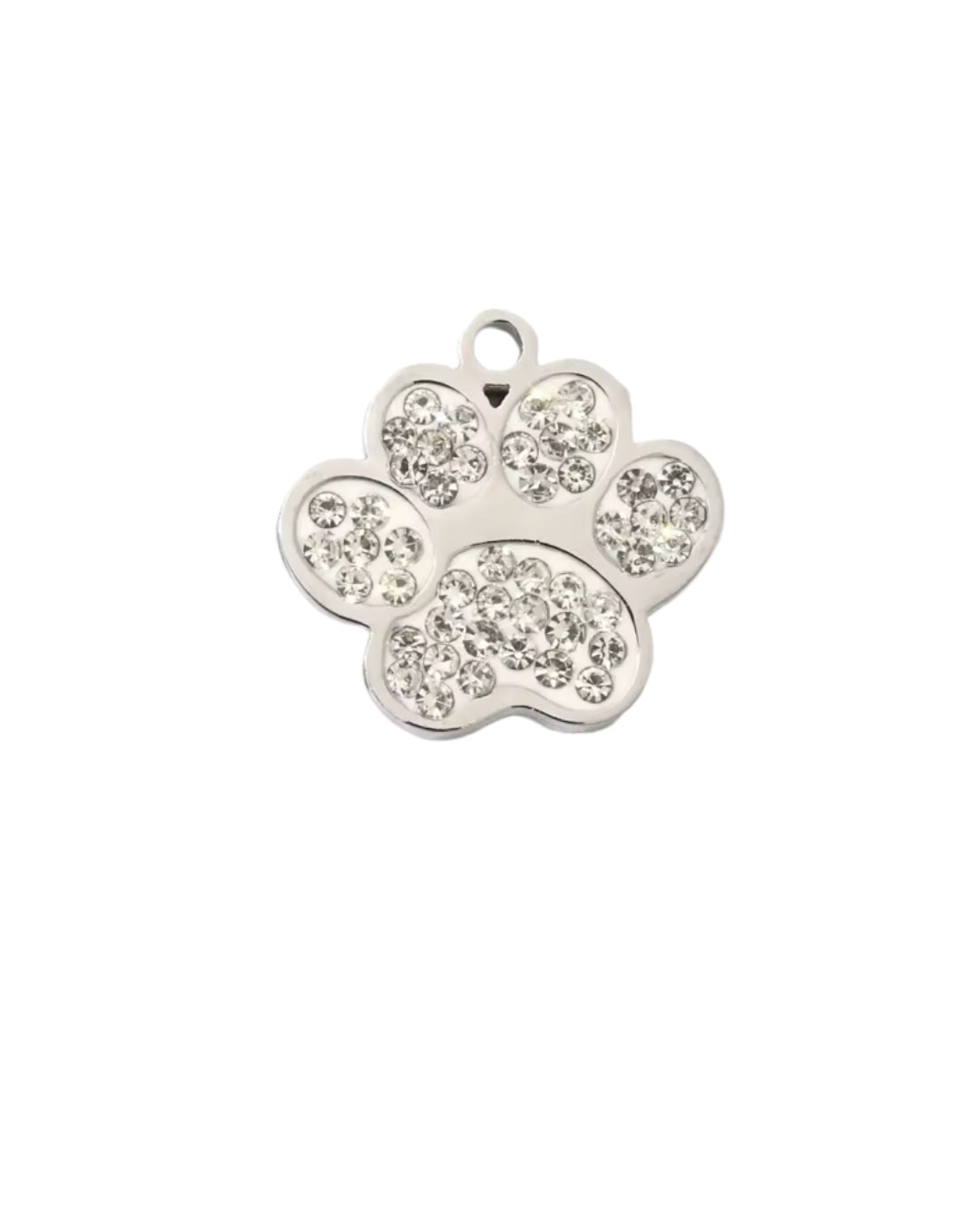Silver Charms Stainless - Volume 1