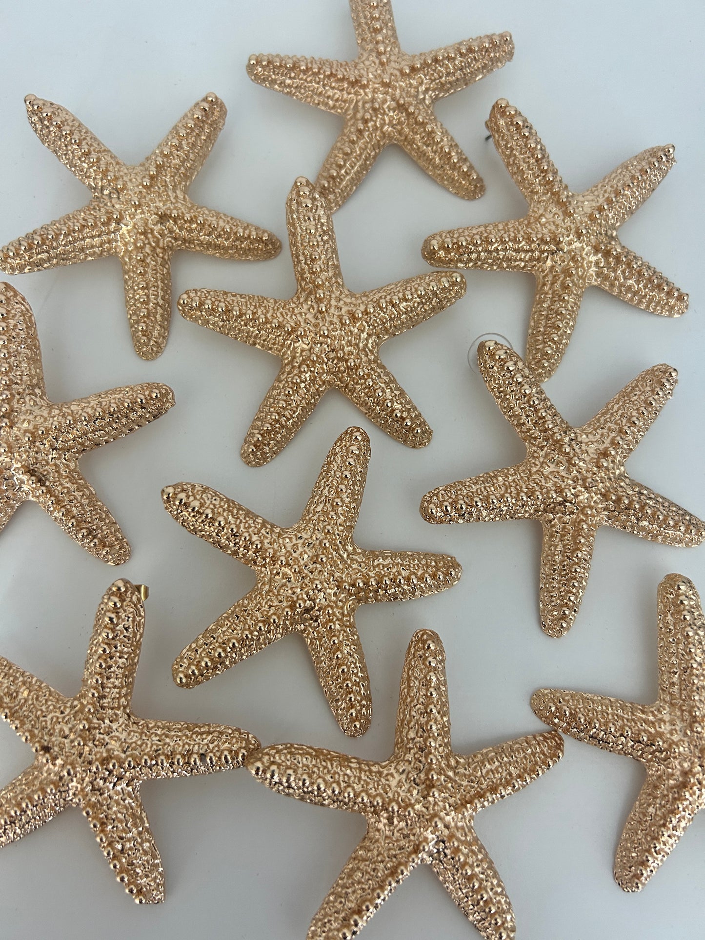 Starfish | Earrings