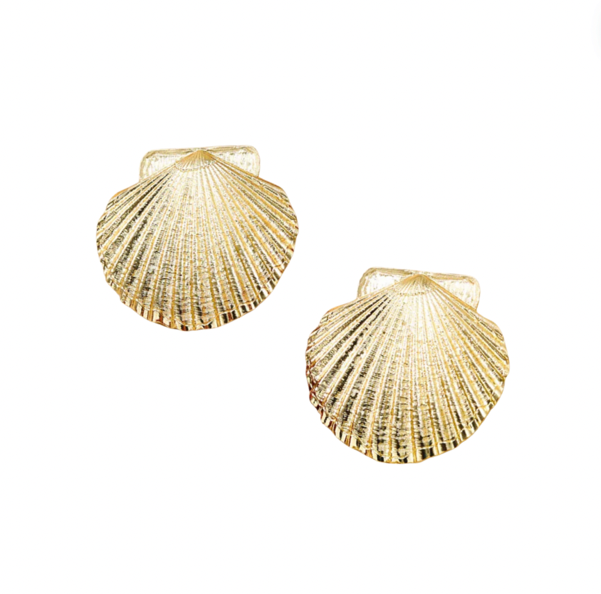 Shell | Earrings