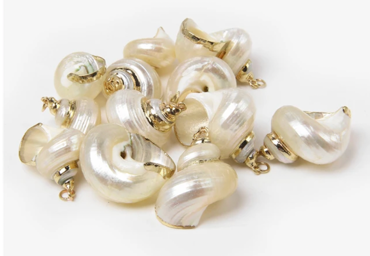 Natural Shell Charms