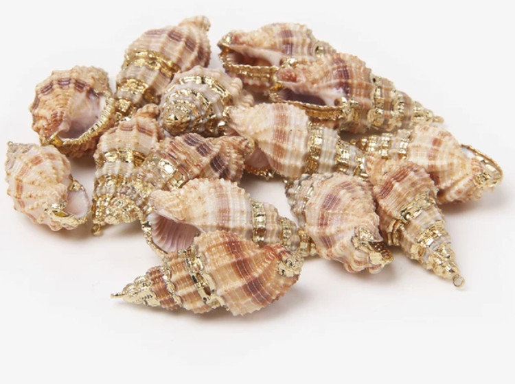 Natural Shell Charms