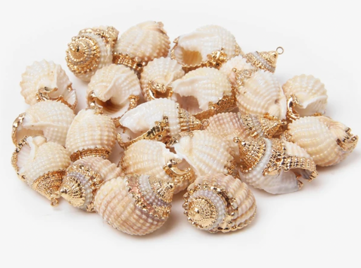 Natural Shell Charms