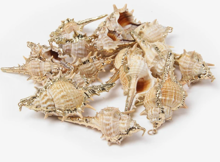 Natural Shell Charms