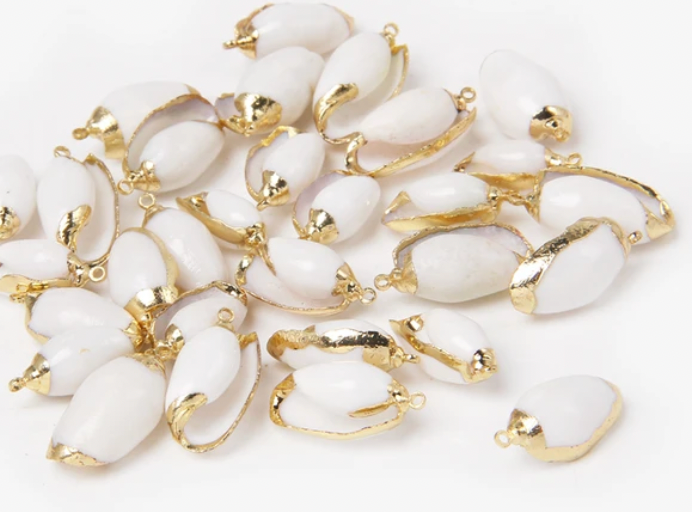 Natural Shell Charms