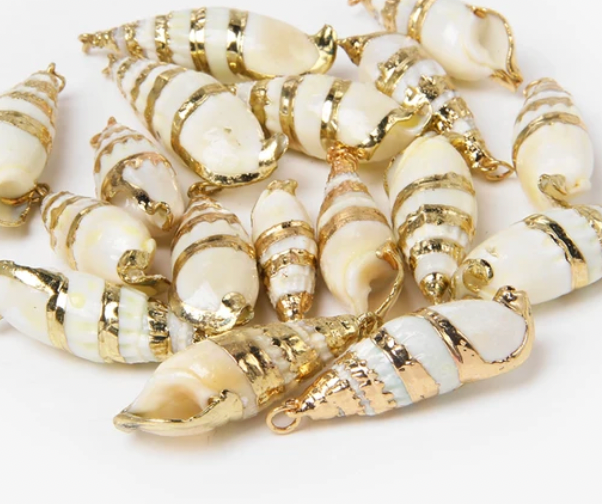 Natural Shell Charms