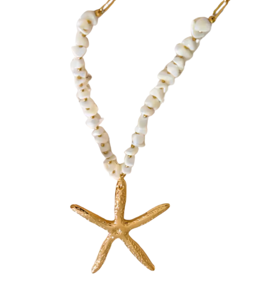 Barbados Shell | Necklace