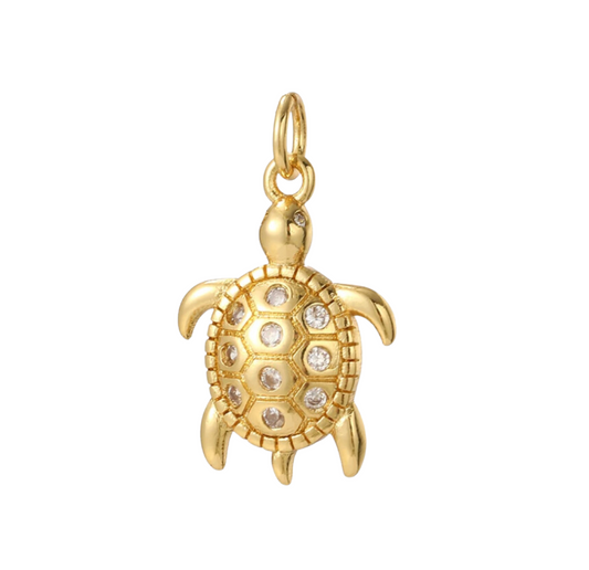 Diamante Turtle