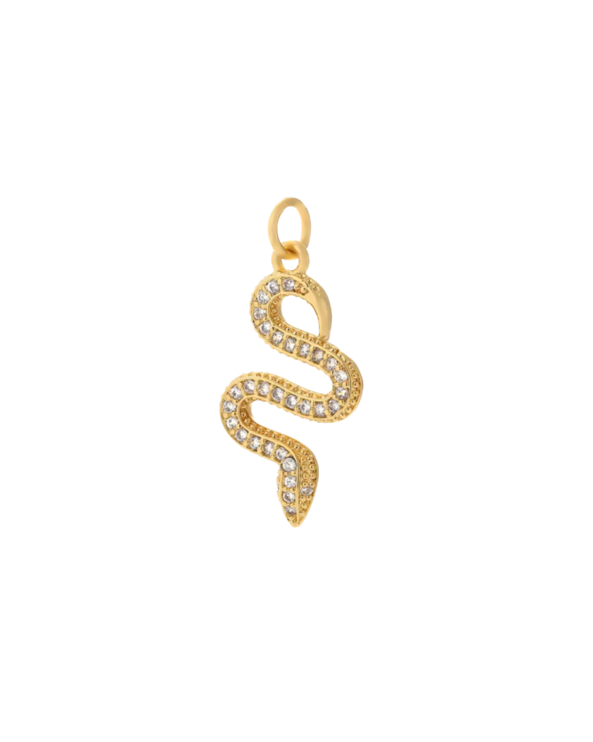 Diamante Snake Charm