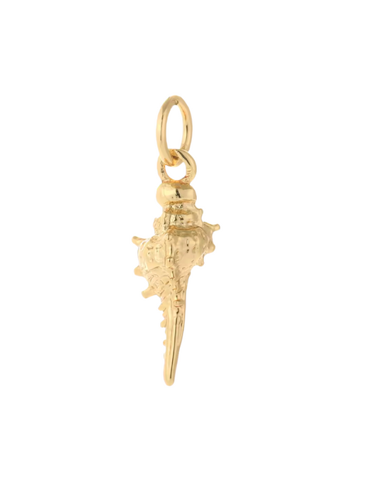 Conch Shell Gold