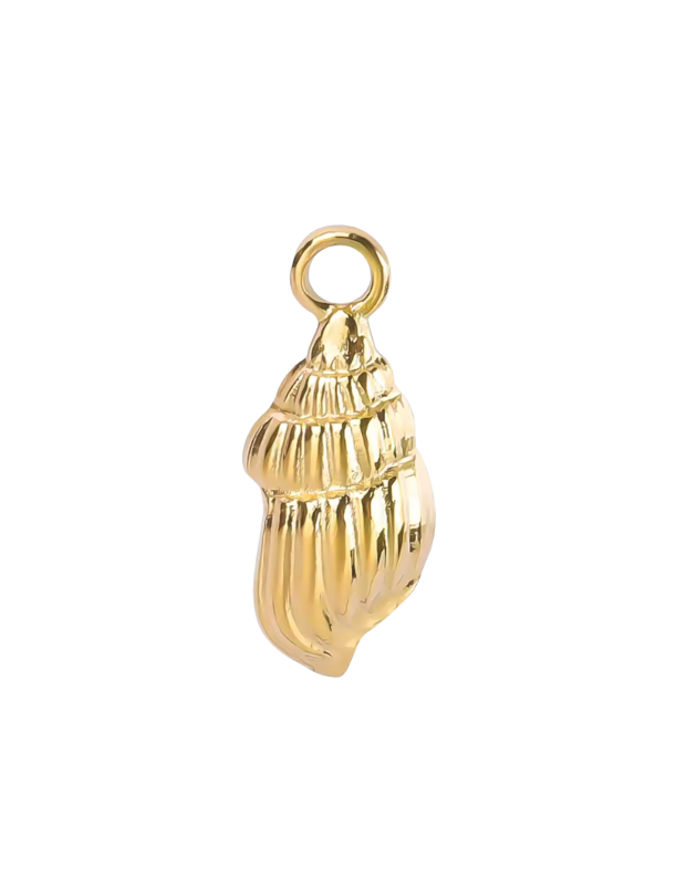 Conch shell gold