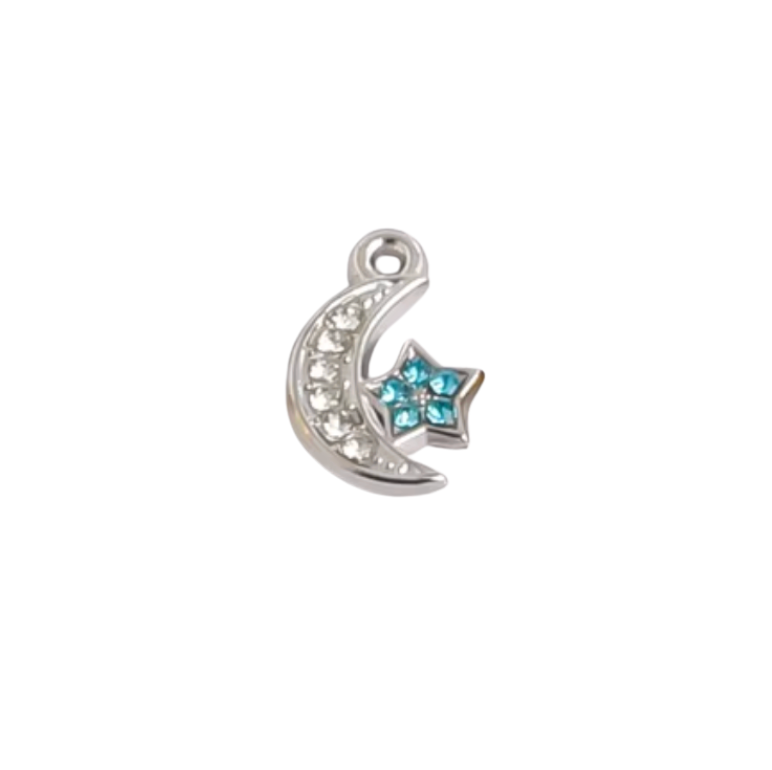 Moon & Star Charm Silver