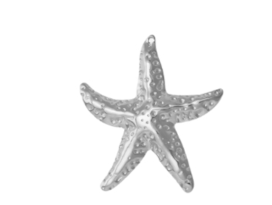 Silver Charms Stainless - Volume 1